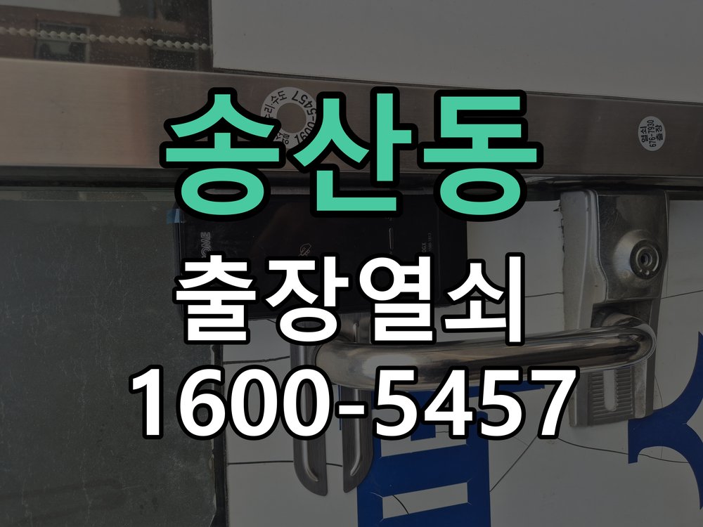 송산동 도어락 경고음 삐삐삐 울릴때 조치법 문이 닫힌 뒤에도 삐삐삐 경고음이 수 초 간격으로 연속 발생 현장 출장