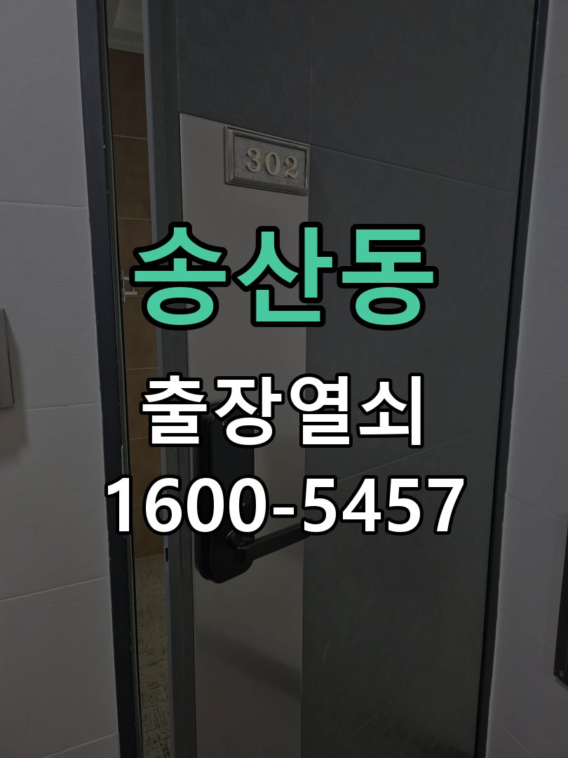 송산동 도어락 경고음 삐삐삐 울릴때 조치법 스트라이커 가이드 위치 재조정 및 데드볼트 연마 정비 정밀 점검 및 교체
