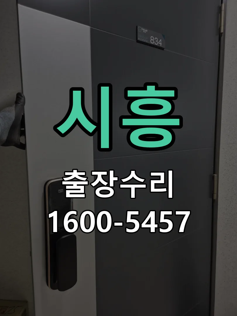 시흥 잠금장치 동작 확인