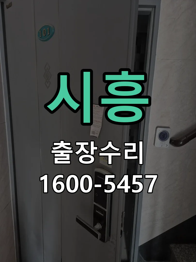 시흥 배선·접점 정리