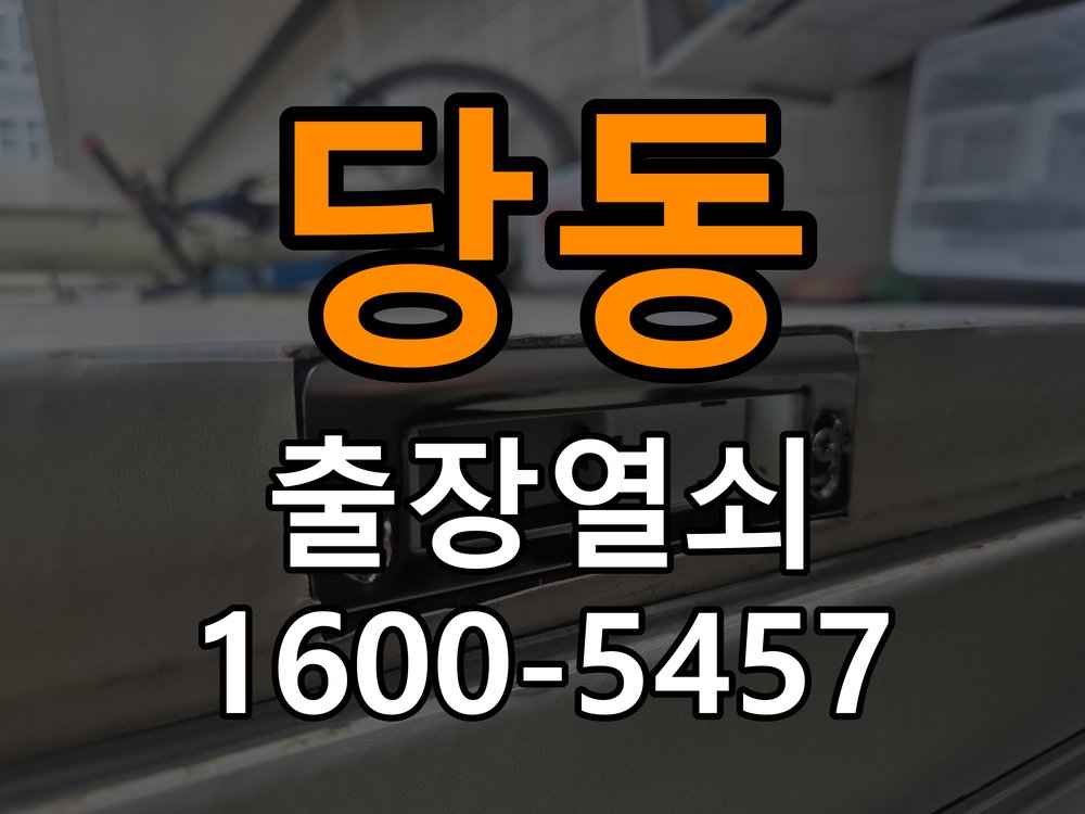 당동 보조키 특수키 안전고리 추가 설치 도어락 외에 추가적인 이중 보안 잠금장치 필요 현장 출장