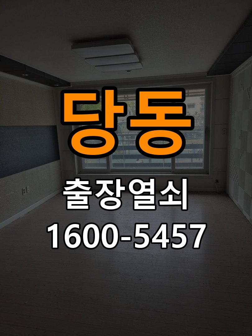 당동 보조키 특수키 안전고리 추가 설치 특수 핀 실린더 보조키 및 빗장형 고급 안전고리 정밀 점검 및 교체