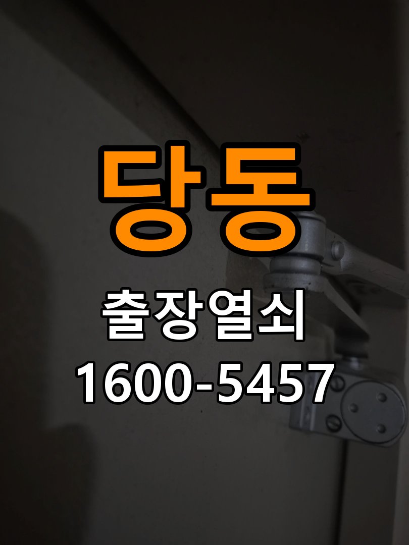 당동 보조키 특수키 안전고리 추가 설치 작업 완료 후 정상 작동 확인