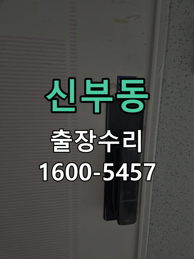 신부동 배선·접점 정리