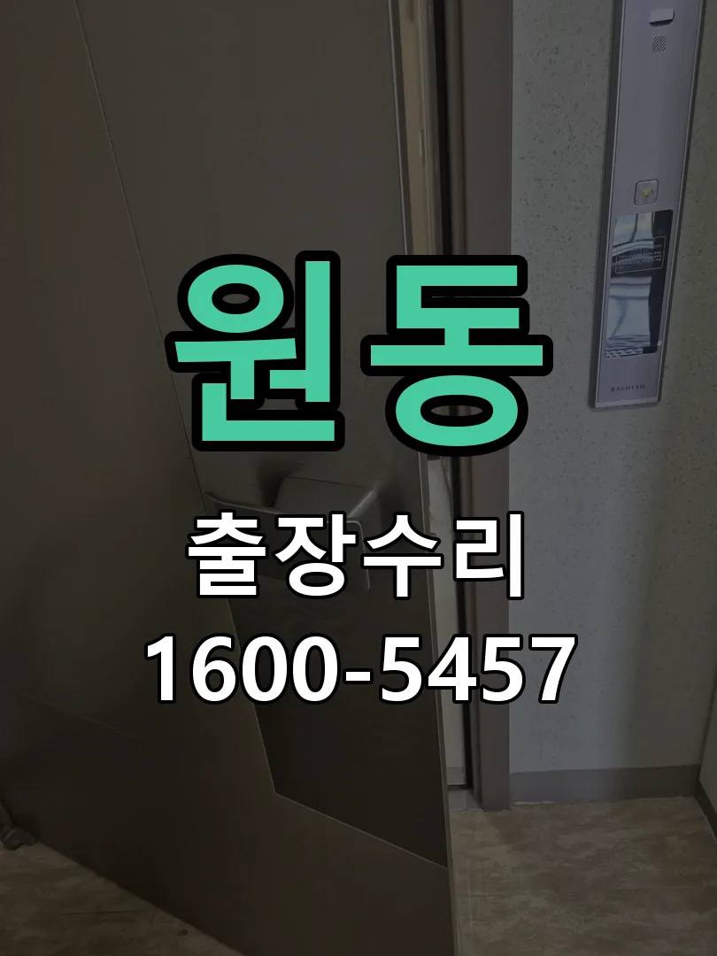 원동 도어락 열쇠 출장 수리