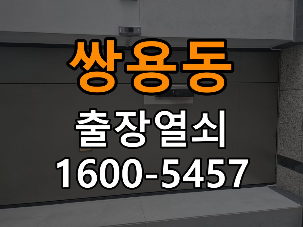 쌍용동 현관문 보조키 열쇠 분실 키통 교체 특수 딤플키 실린더 보조키 교체 정밀 점검 및 교체