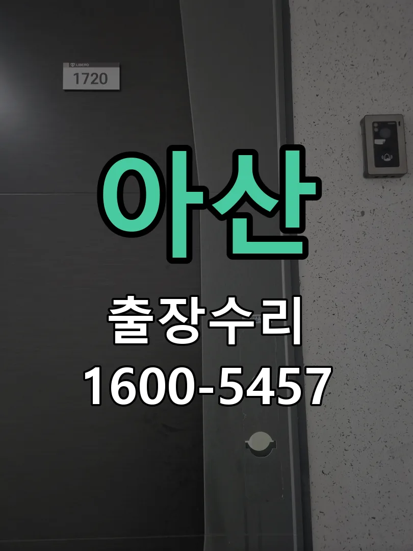아산 잠금장치 동작 확인
