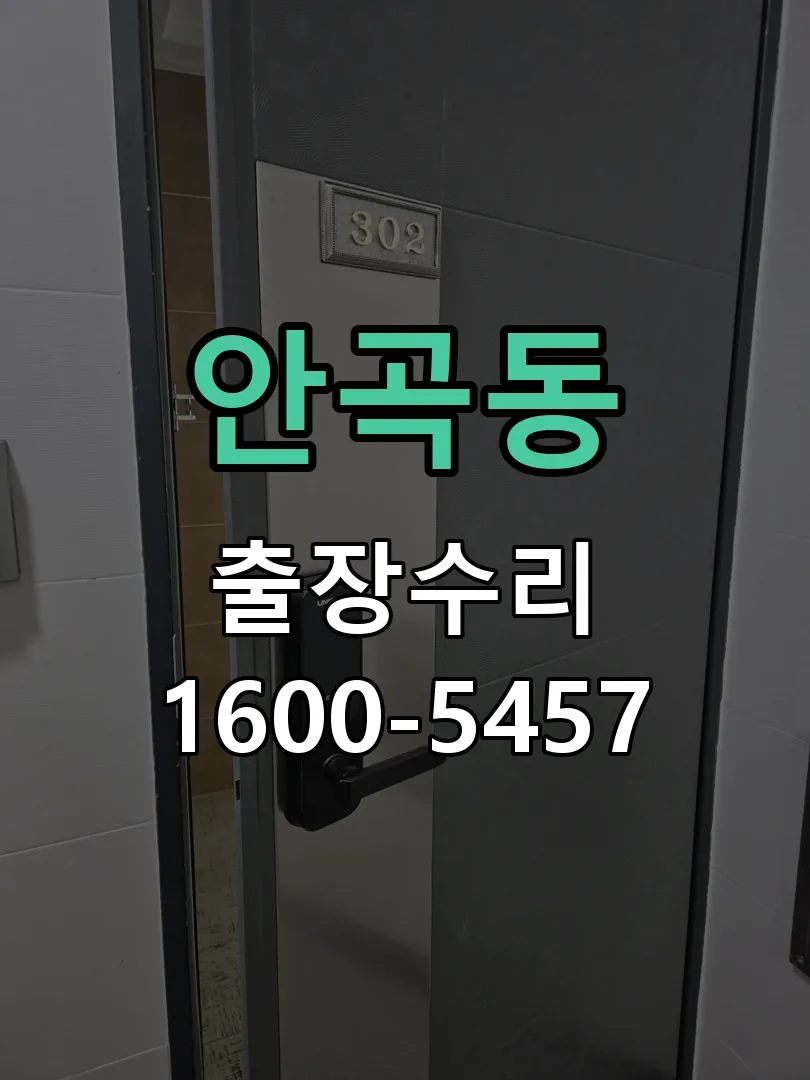 안곡동 잠금장치 동작 확인