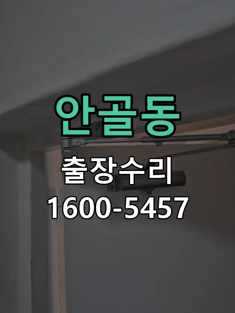 안골동 도어락 열쇠 출장 수리