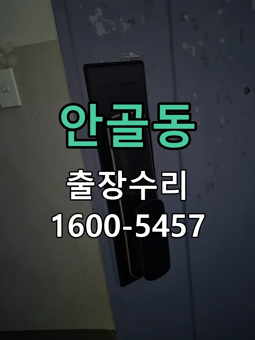 안골동 현장 도착 후 상태 확인