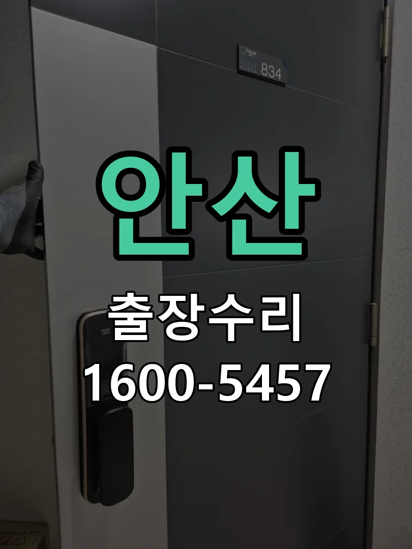 안산 잠금장치 동작 확인