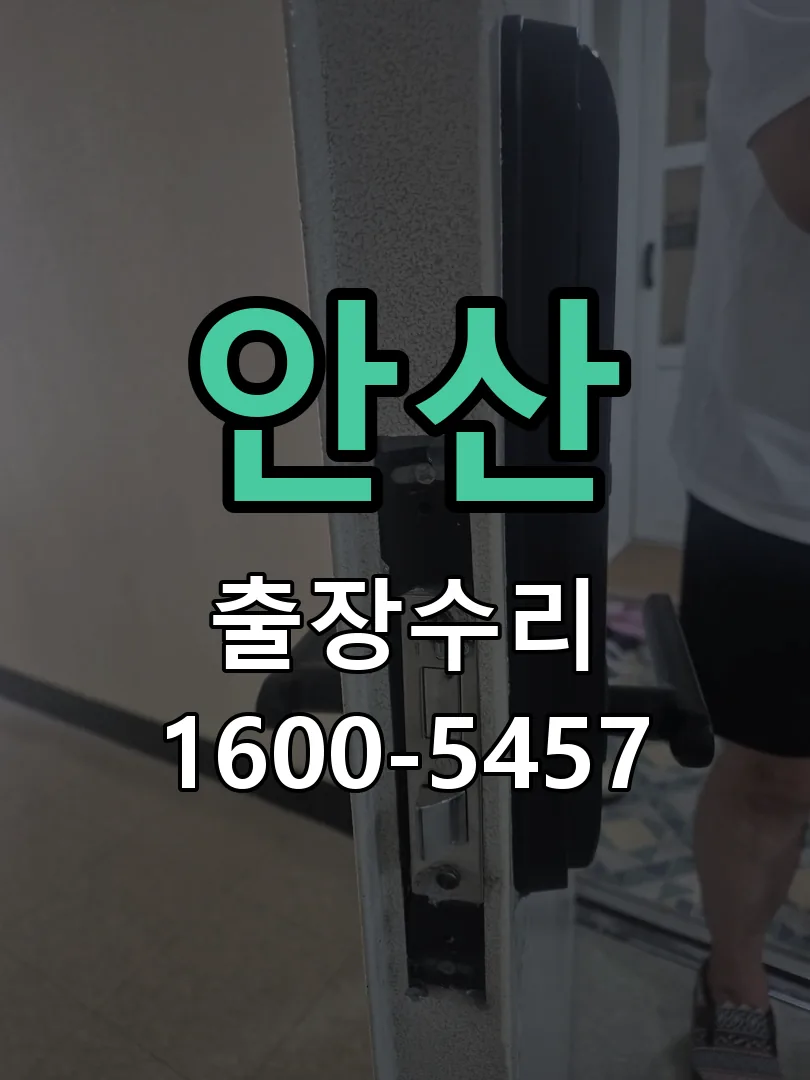 안산 교체 작업 진행