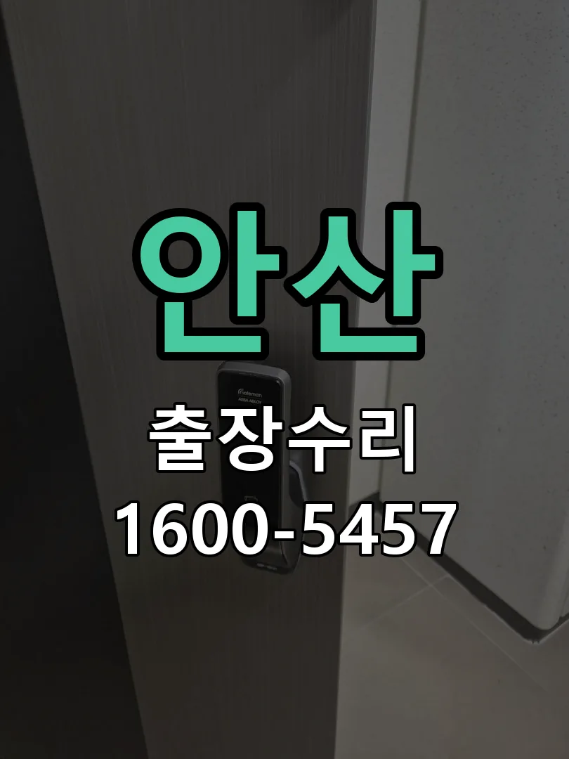 안산 도어락 열쇠 출장 수리