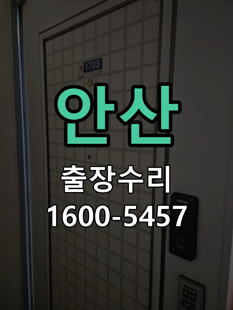안산 잠금장치 동작 확인