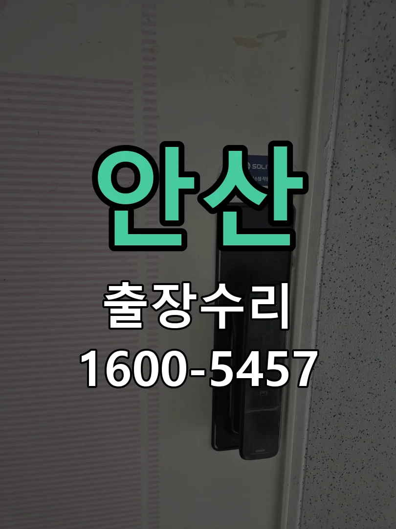 안산 잠금장치 동작 확인