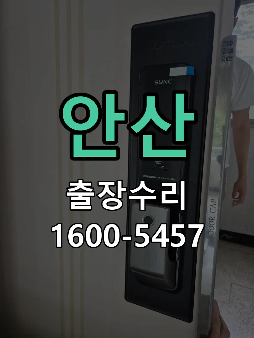 안산 교체 작업 진행