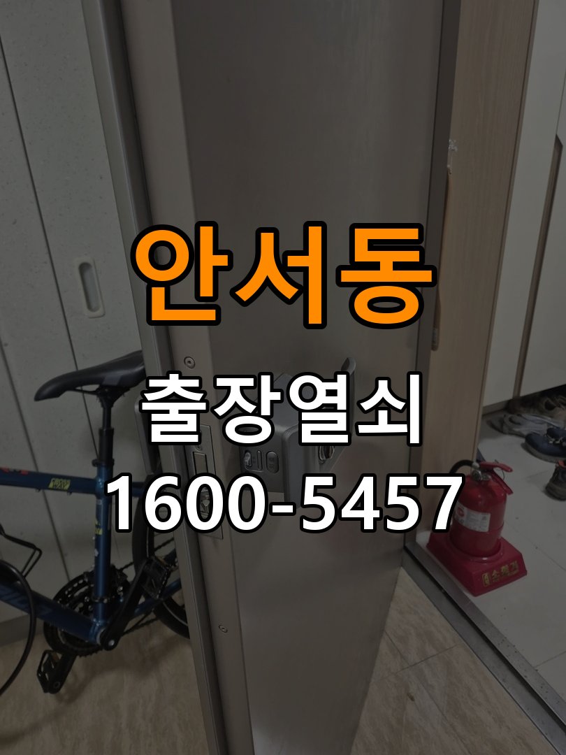 안서동 보조키 특수키 안전고리 추가 설치 특수 핀 실린더 보조키 및 빗장형 고급 안전고리 정밀 점검 및 교체