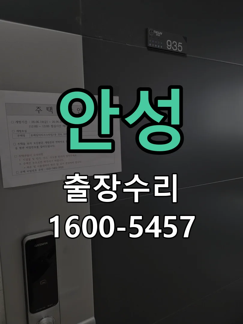 안성 잠금장치 동작 확인