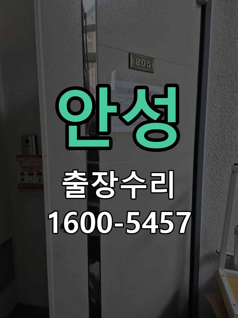 안성 잠금장치 동작 확인