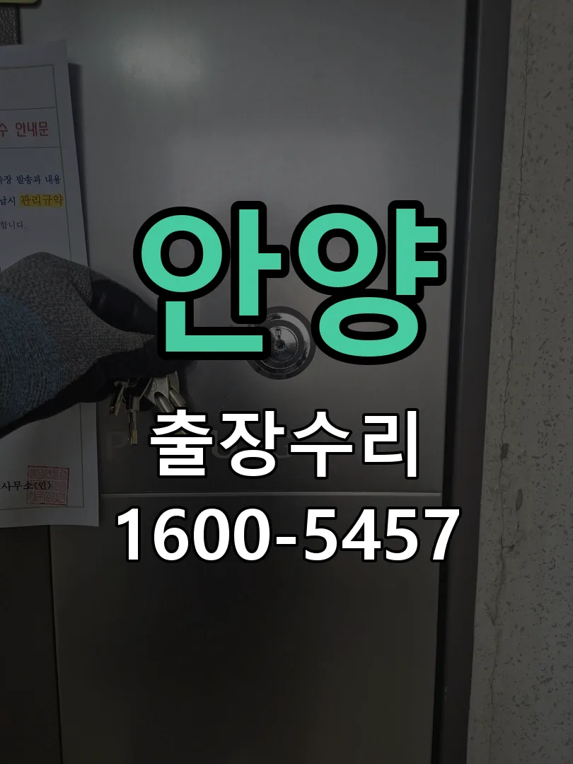 안양 잠금장치 동작 확인