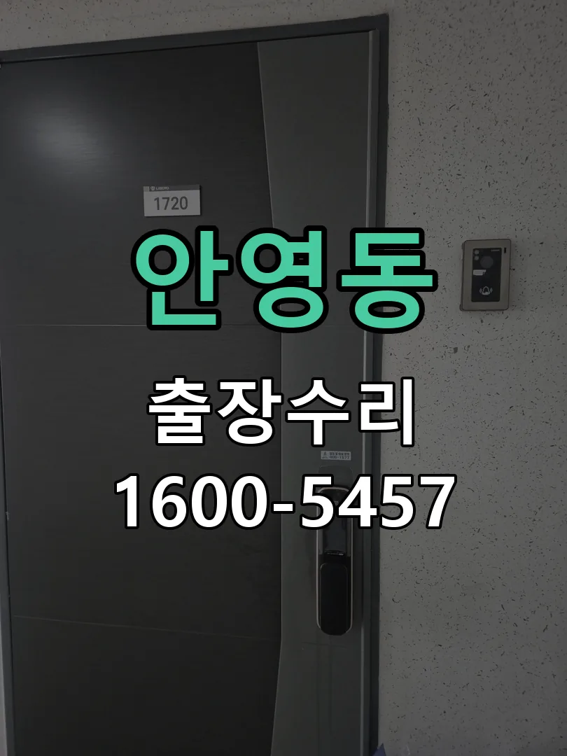 안영동 배선·접점 정리
