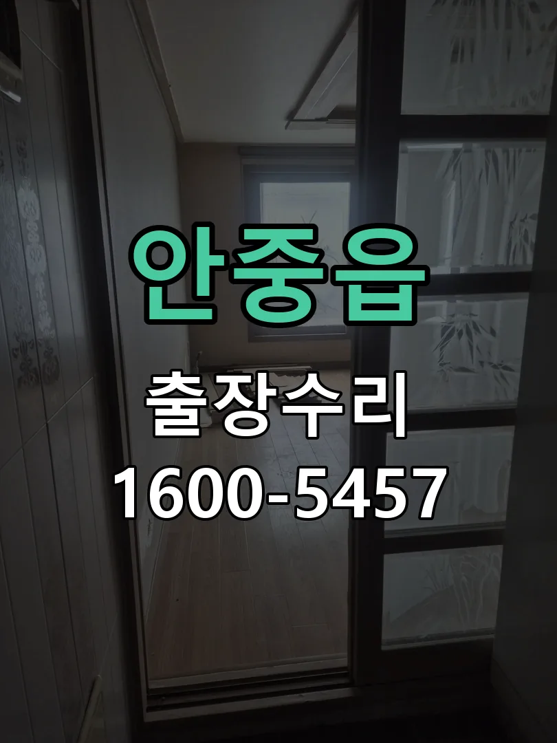 안중읍 도어락 열쇠 출장 수리