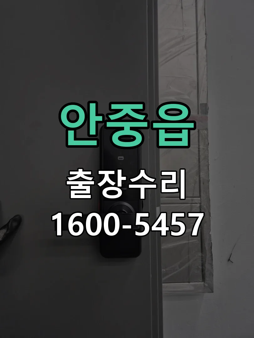 안중읍 배선·접점 정리
