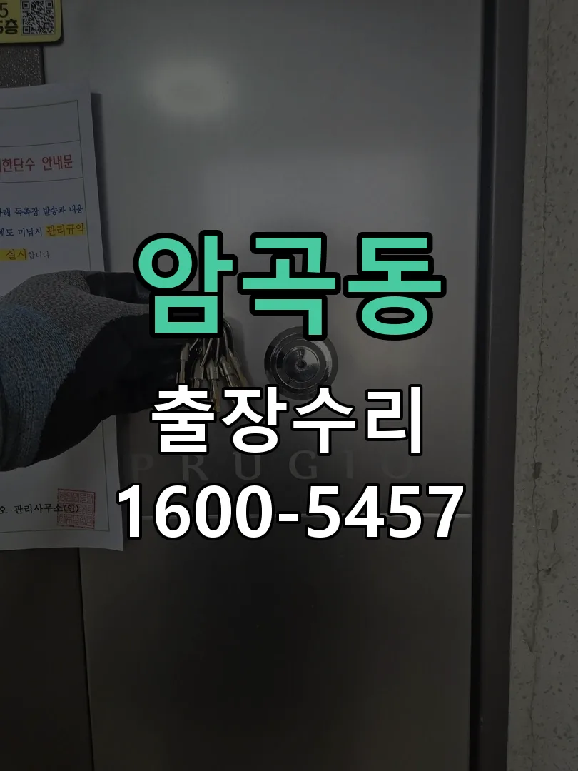 암곡동 잠금장치 동작 확인