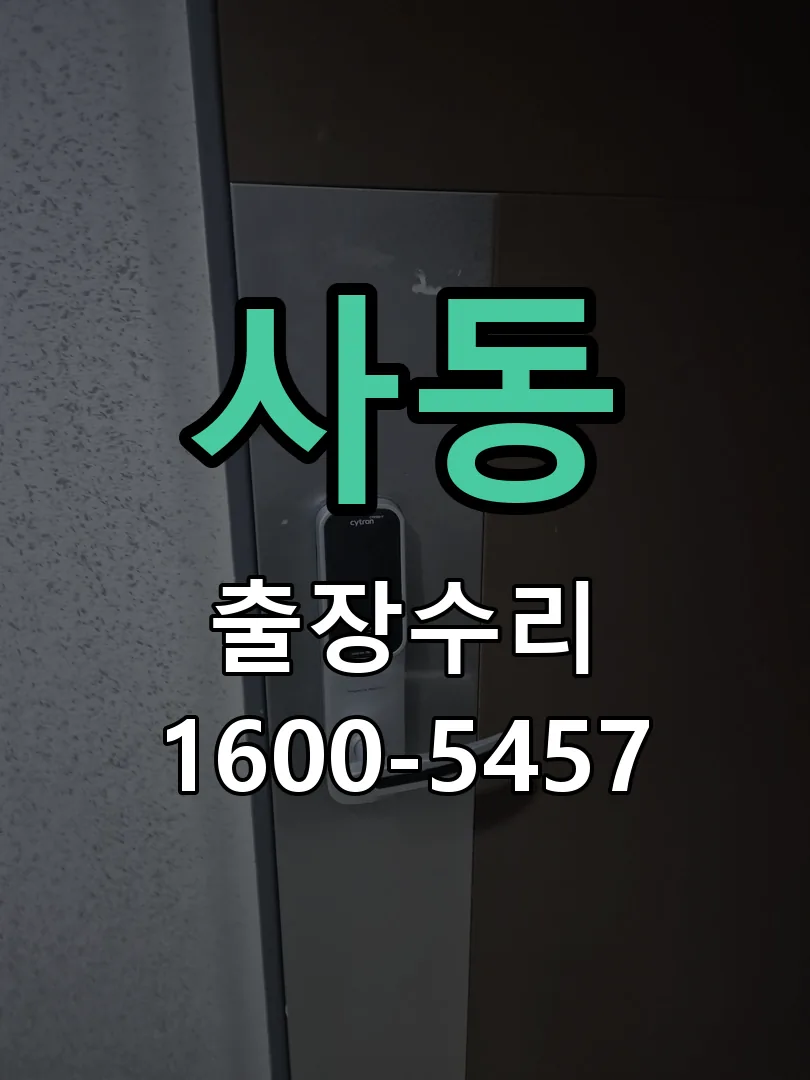 사동 현장 도착 후 상태 확인