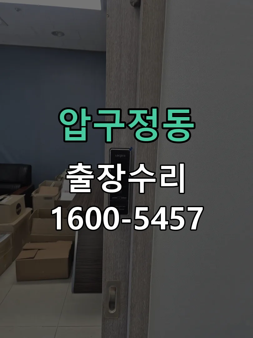 압구정동 잠금장치 동작 확인