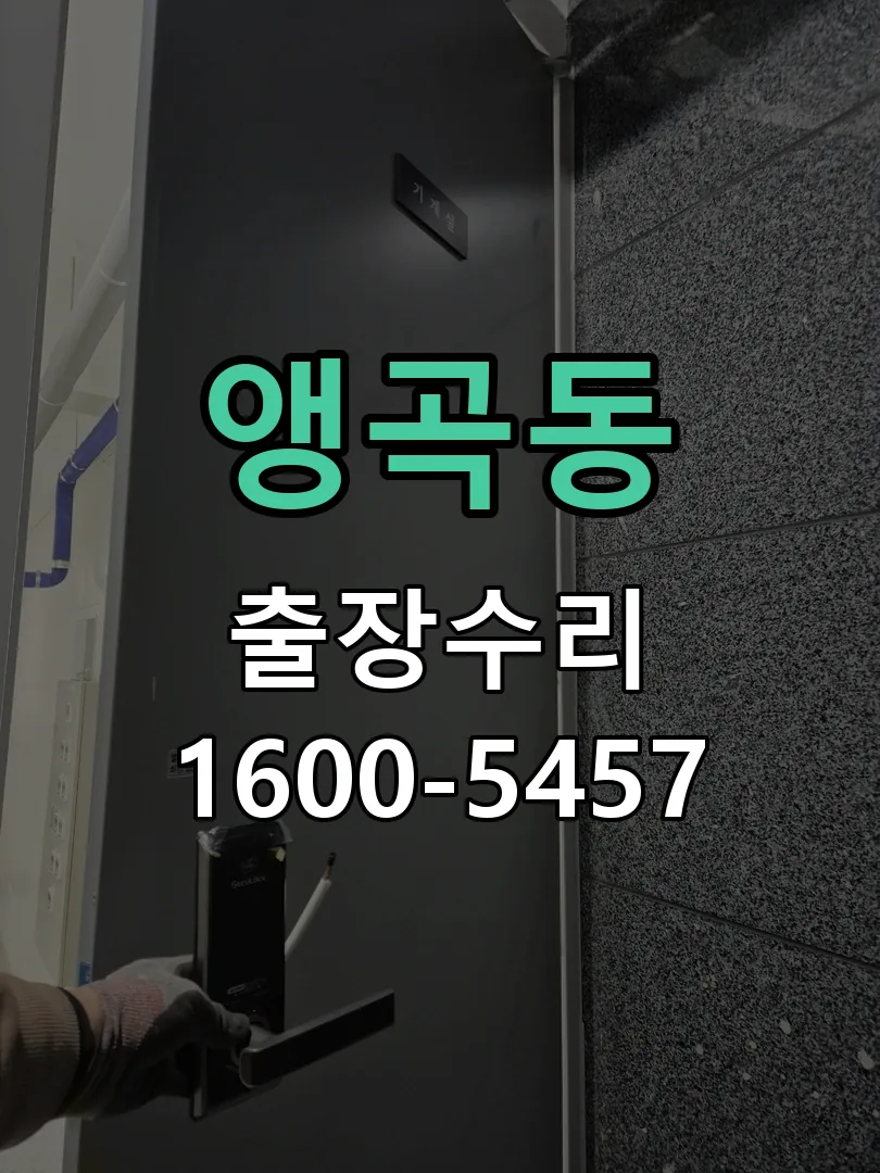 앵곡동 현장 도착 후 상태 확인
