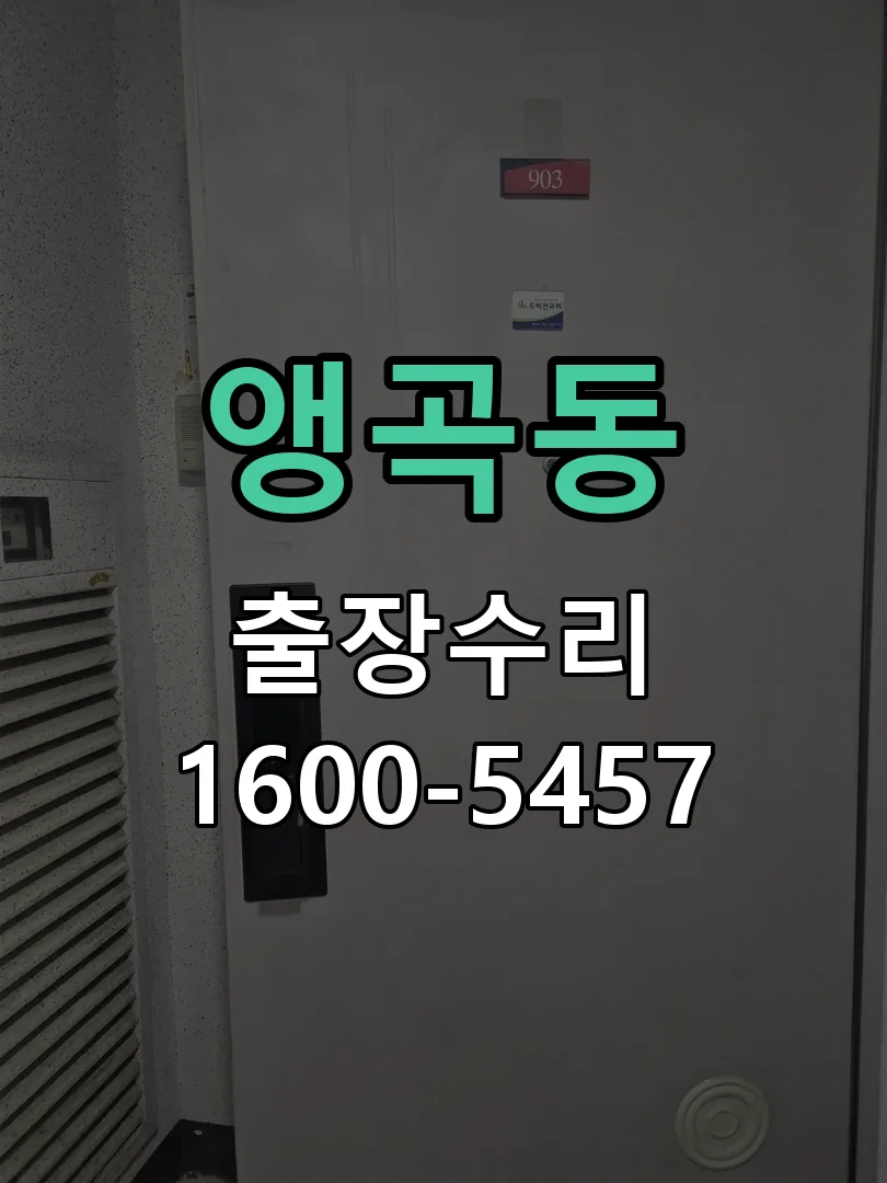 앵곡동 작업 완료 후 정상 작동 확인