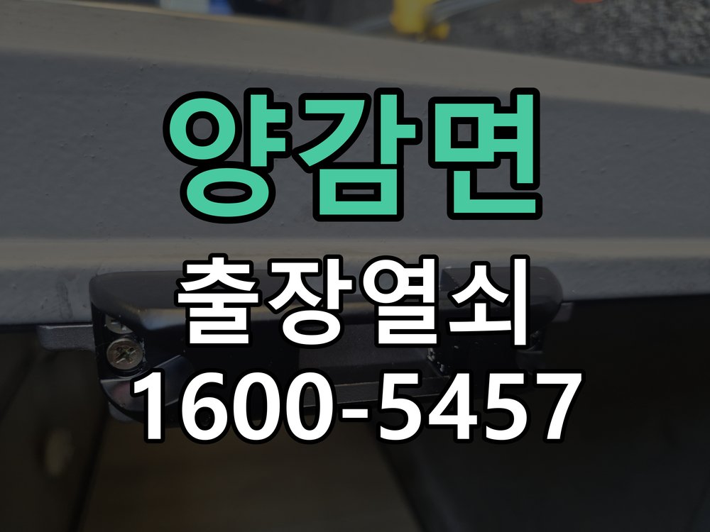 양감면 도어락 소리 안남 무음모드 해제 방법 작업 완료 후 정상 작동 확인