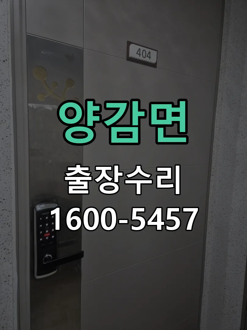 경기 도어락 열쇠 출장 수리