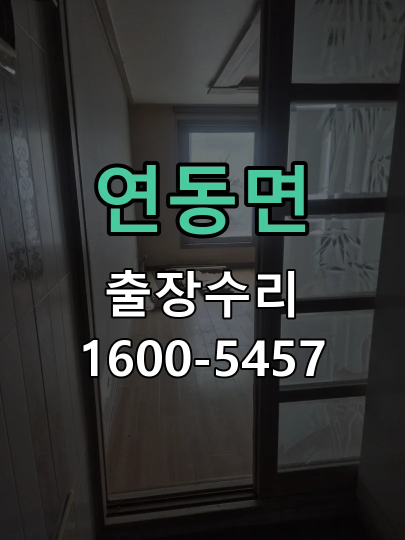경기 도어락 열쇠 출장 수리