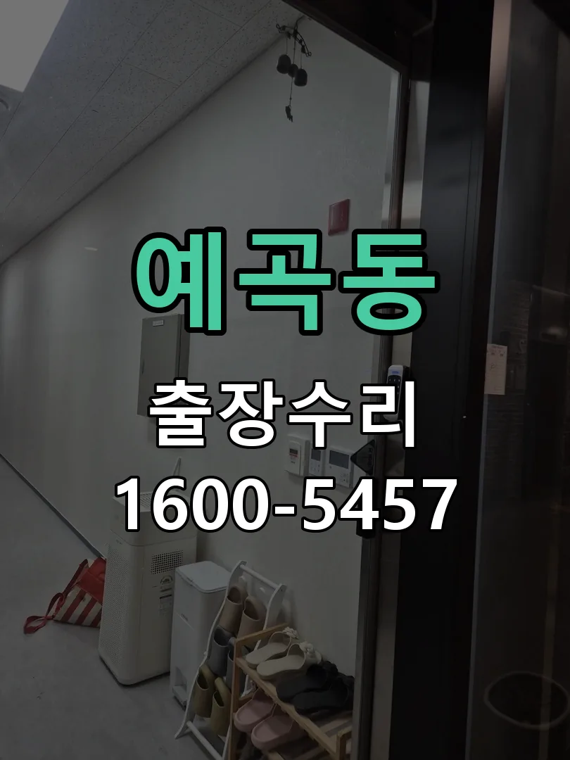 예곡동 현장 도착 후 상태 확인