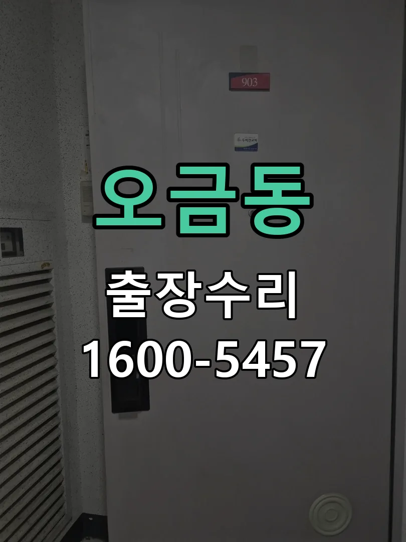 오금동 도어락 열쇠 출장 수리