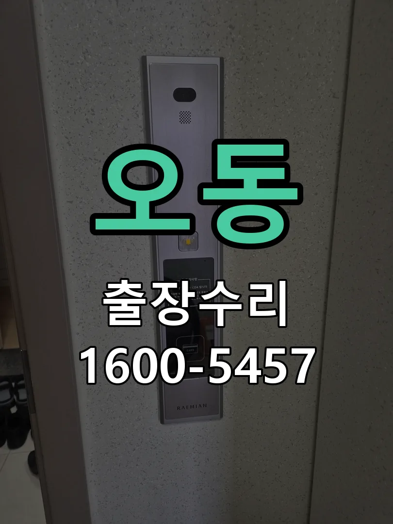 오동 본체 분리 및 내부 점검
