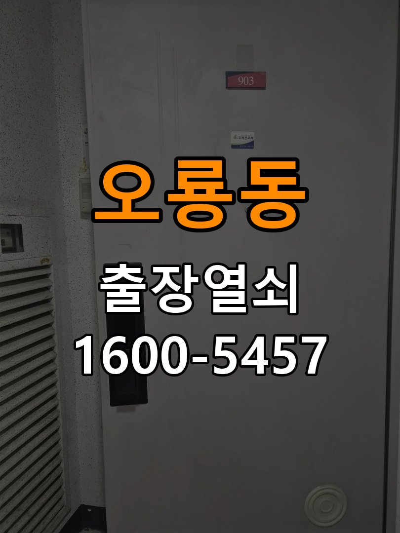 오룡동 보조키 특수키 안전고리 추가 설치 특수 핀 실린더 보조키 및 빗장형 고급 안전고리 정밀 점검 및 교체