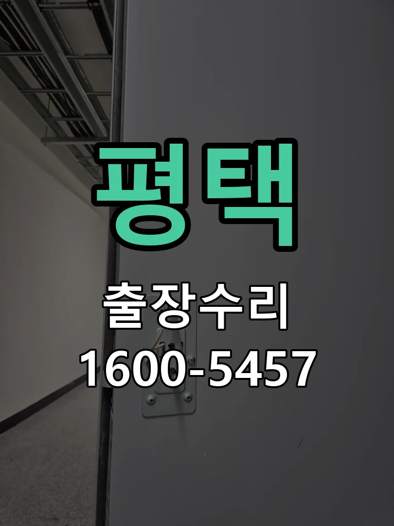 평택 잠금장치 동작 확인