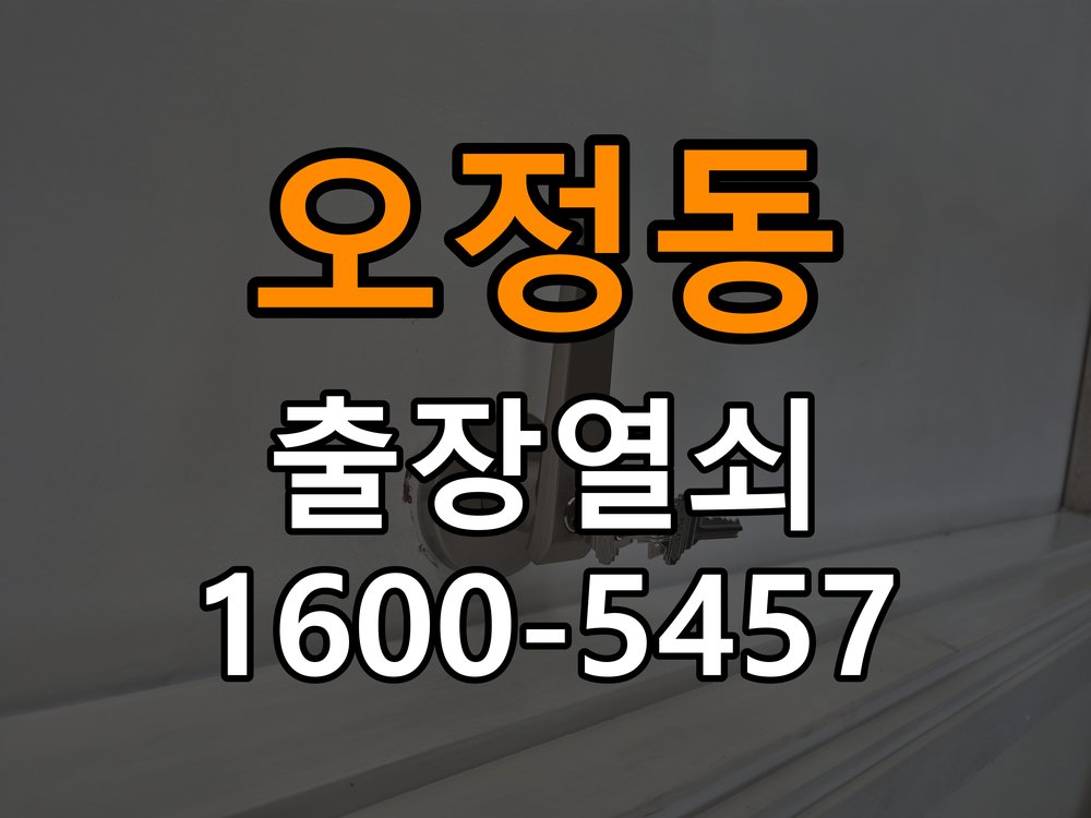 오정동열쇠 옥탑방 현관문 잠금장치 및 나무 프레임 파손 점검 참고 사진 2