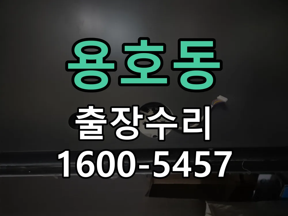 용호동 배선·접점 정리