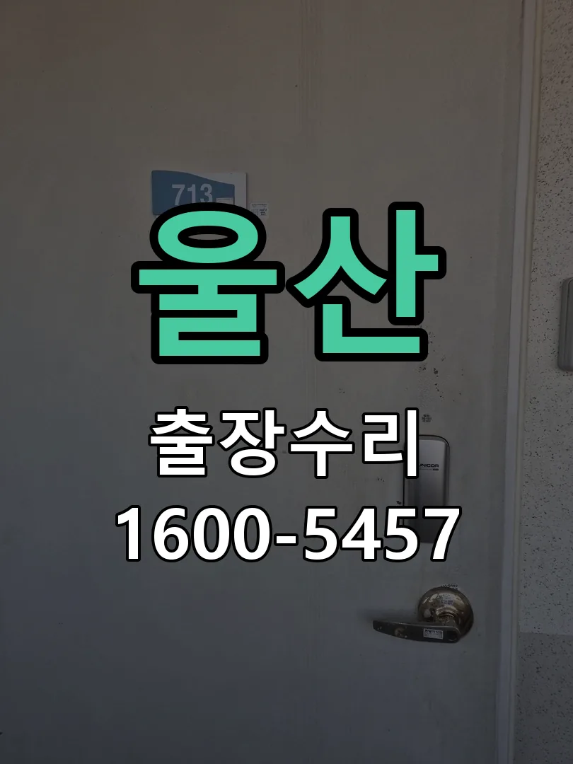 경기 도어락 열쇠 출장 수리