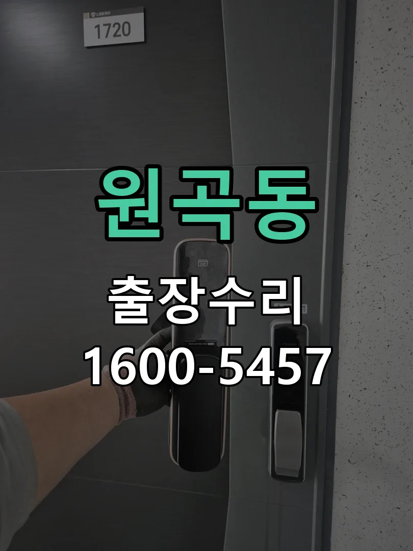 원곡동 잠금장치 동작 확인