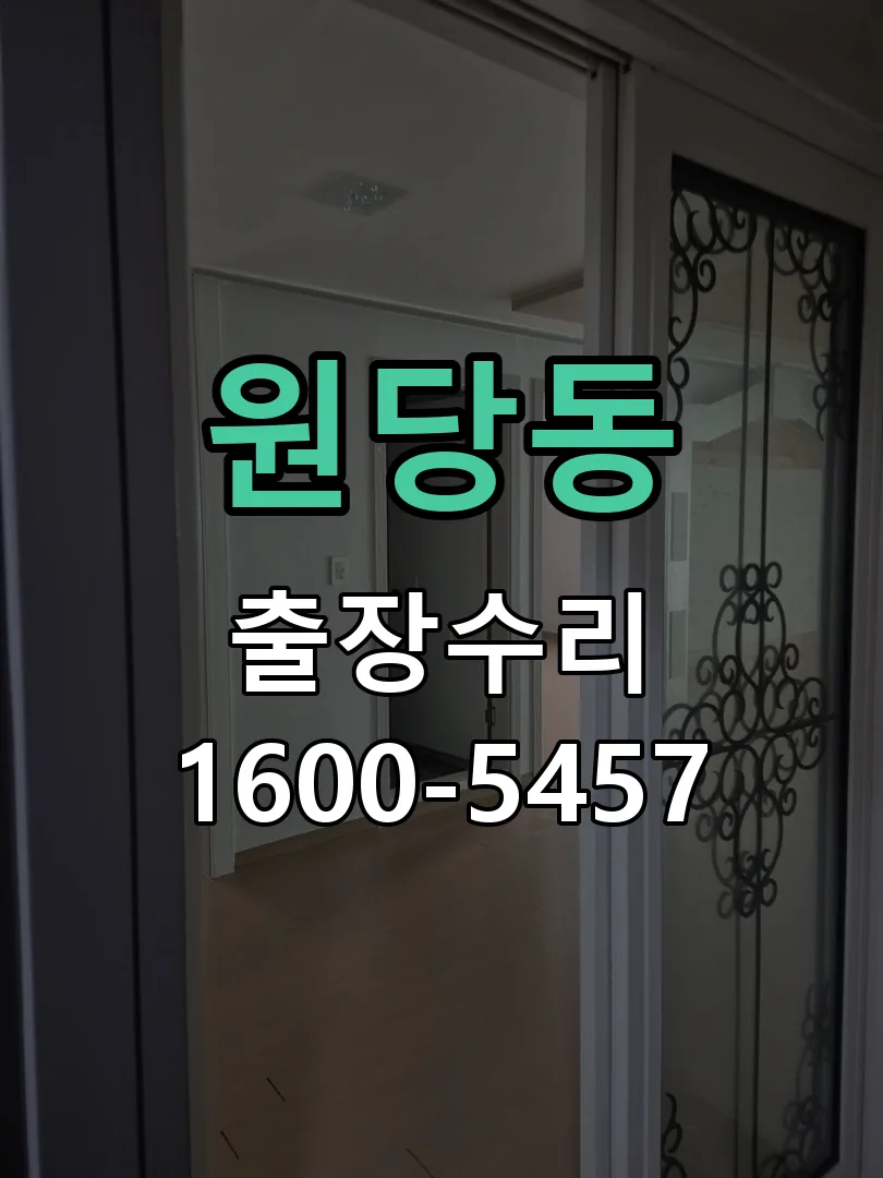 원당동 도어락 열쇠 출장 수리