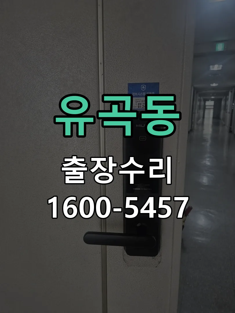 유곡동 도어락 열쇠 출장 수리