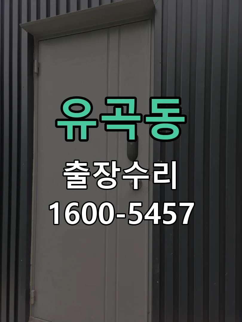 유곡동 잠금장치 동작 확인