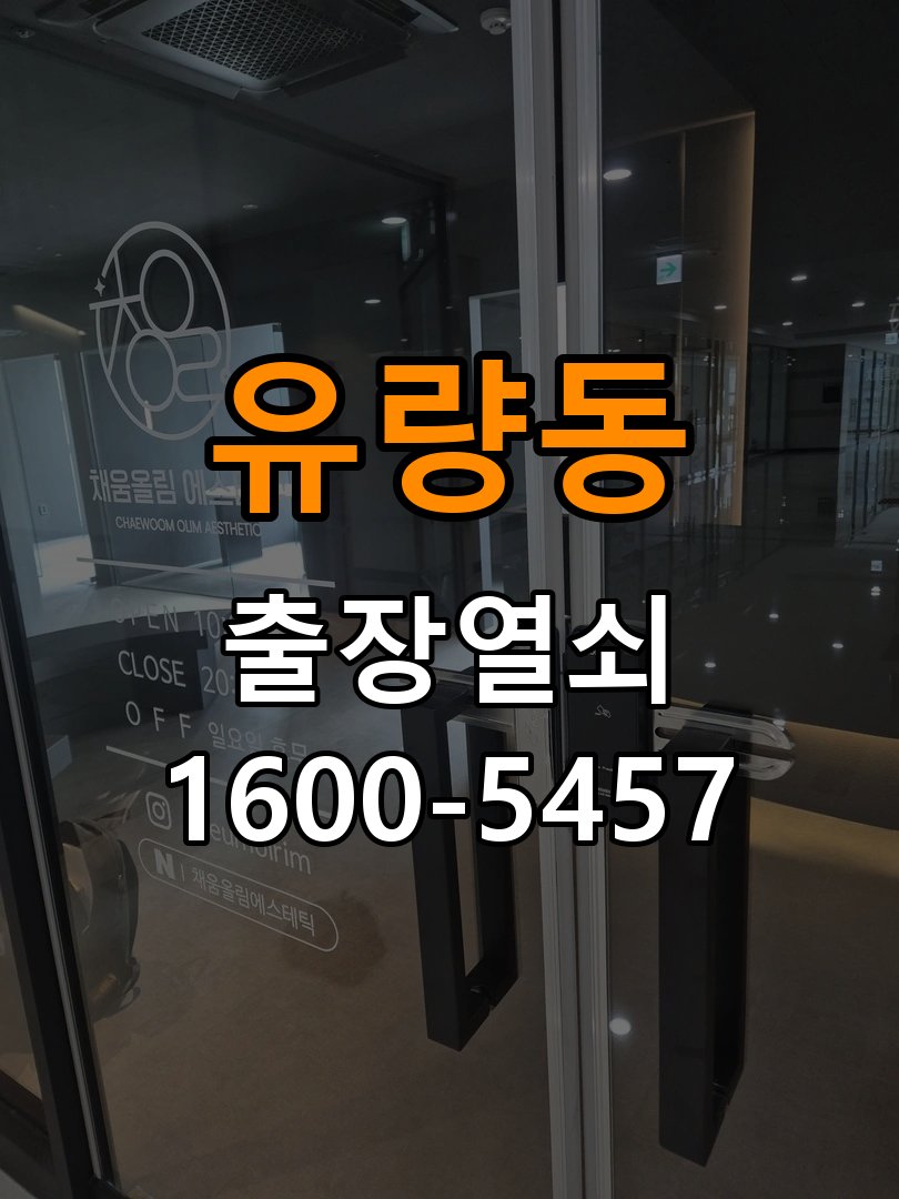 유량동 창고 대문 개폐기 열쇠 고장 교체 주택 대문 개폐기 버튼을 눌러도 문이 열리지 않고 걸림 현장 출장