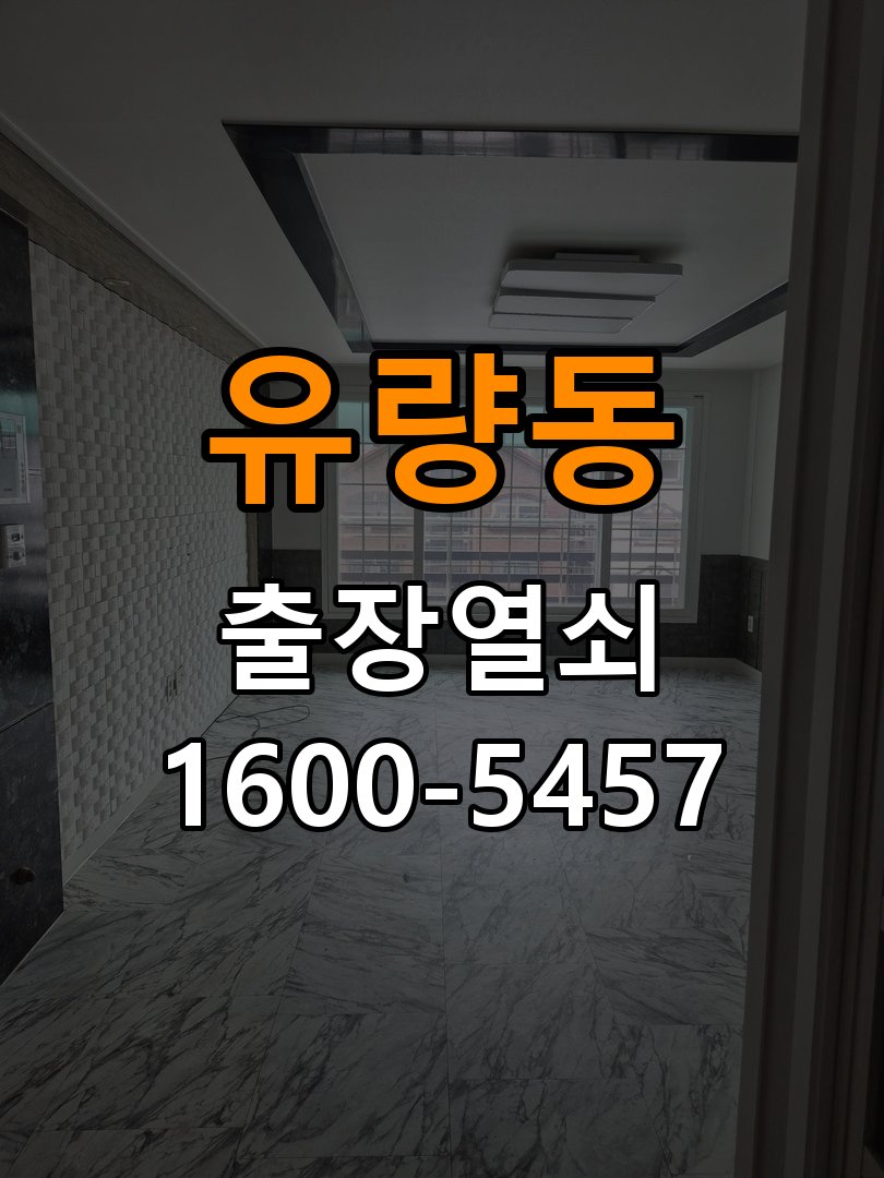 유량동 창고 대문 개폐기 열쇠 고장 교체 AC 220V/DC 12V 호환 전자 대문 개폐기 정밀 점검 및 교체