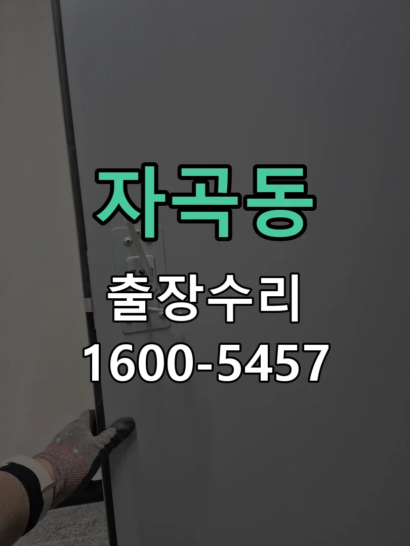 자곡동 잠금장치 동작 확인